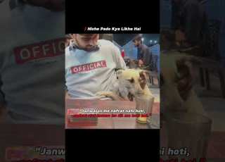 Janvaro Me Nafrat Nhi Hoti Shorts Trending
