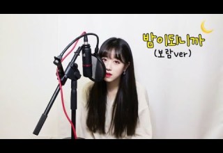 펀치 Punch 밤이되니까 When Night Is Falling COVER By 보람