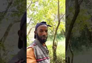Iluu Abbaa Booraa Iluu Abbaa Booraa