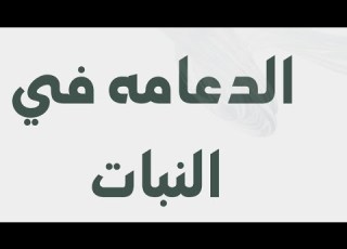  شرح الدعامه في النبات في 8 دقائق