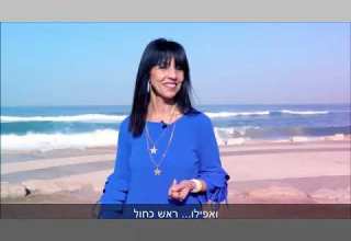 לא רק ראש כחול הילה גוילי