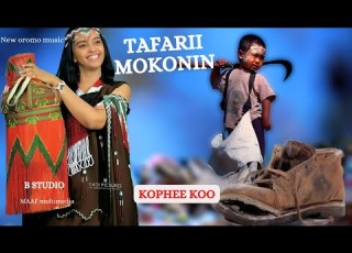 Tafarii Mokonnin New Oromo Music Kophee Koo Yaa Barabaasoo 2024