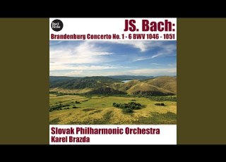 Brandenburg Concerto No 6 In G Major BWV 1051 I Allegro