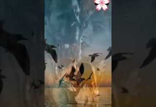 في عنيك بلاقي حنان قربني منه كمان