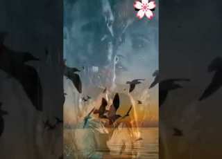 في ع بلاقي حنان قربني منه كمان