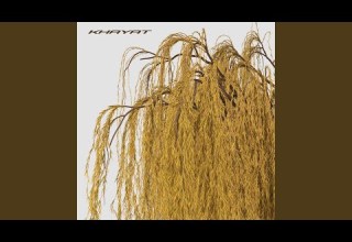 В кінці греблі шумлять верби Short Version