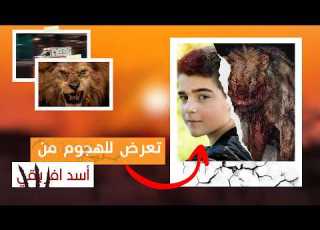  رحلة تتحول الى مجـ ـزرة طـ ـفل في مواجهة اسد افريقي قصص واقعية قصص حيوانات مفترسه