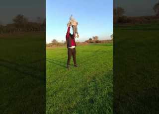 واحد اثنين ثلاثة هوباا دلع دلع