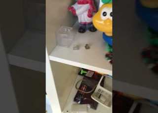 Zum Kotzen Unsozial Asso Asozial Grünkohlsuppe Tauschraum Ohne Worte Widerlich Irre Ekelhaft Krass