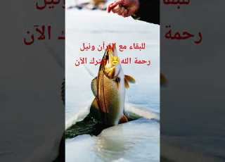 تلاوة تقر بها الأعين وتطمئن بها القلوب بصوت الشيخ ياسر الدوسري قرآن كريم تلاوة خاشعة ابلور