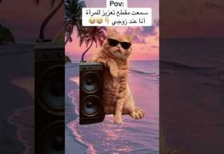 إن المرأة لو أخطأت 70 مرة عليك ان تسامحها