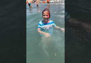 Мама меня потеряла в море смотри и слушай клип Купи Щеночка скорее Shorts юмор Ladymilana