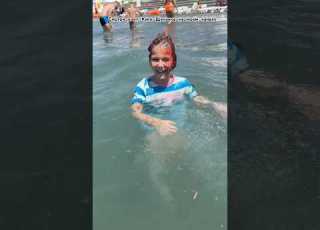 Мама меня потеряла в море смотри и слушай клип Купи Щеночка скорее Shorts юмор Ladymilana