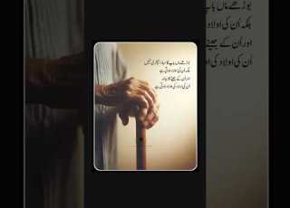  Ak Voice New