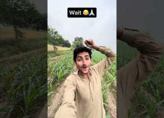  Peechy Ni Dekha Wait Bhuttejifun Funny Comedyfilms Comedy