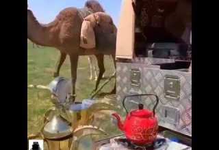 البل عطايا الله مسانيد الرقاب