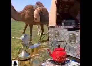 البل عطايا الله مسانيد الرقاب