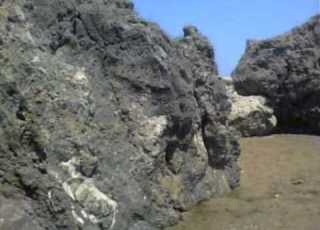Bunny Wailer Home Sweet Home