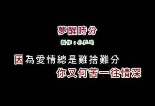 演唱版 陳淑樺 夢醒時分 DIY卡拉OK字幕