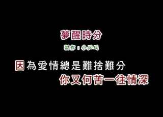 演唱版 陳淑樺 夢醒時分 DIY卡拉OK字幕