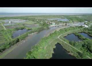  Malogo Boardwalk