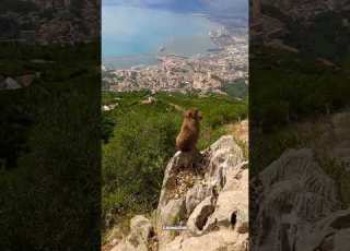 شاهد جمال مدينة بجاية من قمة يما ڨورايا   