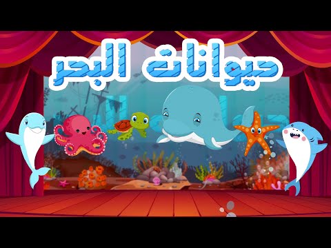 أنشودة حيوانات البحر أناشيد وأغاني أطفال باللغة العربية