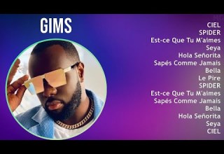 G I M S 2025 MIX Top Hits Collection