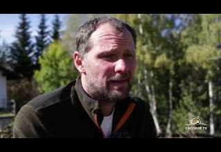 Saladini Pilastri Dog Show 2020