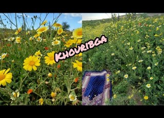  الغابة المنجمية بخريبكة مشاء الله على طبيعة شحال غزالة الجزء الاول