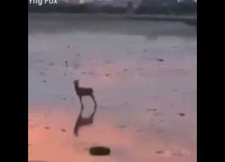 اول ما عرفت انك عايزني جيت اوام حاله واتس ء