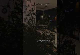 عودت نفسي ما أتحسف على شي حمد السعيد