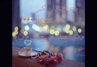 شيلة ودي اضمك لين اكسر ضلوعك شيلة ودي اضمك لين اكسر ضلوعك