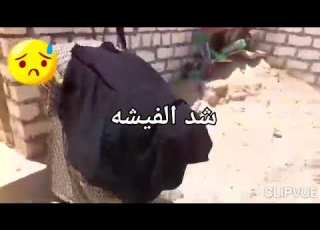  السعودية بيكو نار السطح