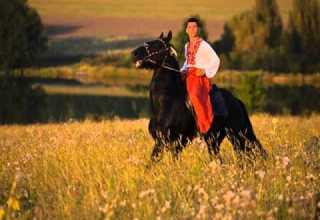 Т Шевченко Думка