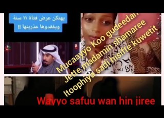  Shamarre Sadi Mucaayyo Koo Dubara Gudeedan Jette Hisiftee Madamin Biyyi Ormaa Tessorra Nama Bufti