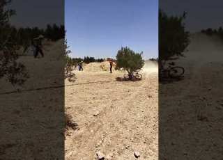 يوم الحصاد