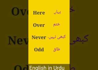 Viral Vocabulary In Urdu 4