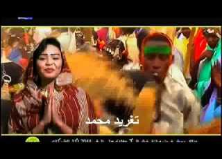 ولاية شمال كردفان