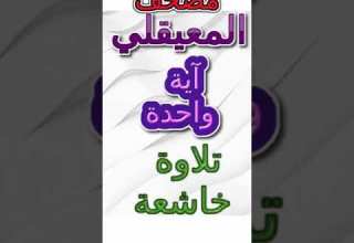 مصحف المعيقلي مقسم آيات كامل آية رقم 055036