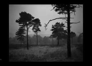 David Higgs The Weald Exhibiition