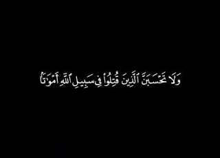 ولا تحسبن الذين قتلوا في سبيل الله أمواتا محمد اللحيدان كروما سوداء