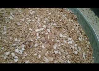 صناعة الروينة ثابسيست من أساسيات مدخرات البيت الأوراسي ج01