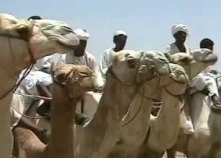 الشكرية الارض و الانسان