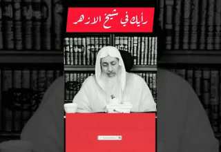 متصل يسأل الشيخ عن رأيه في شيخ الازهر