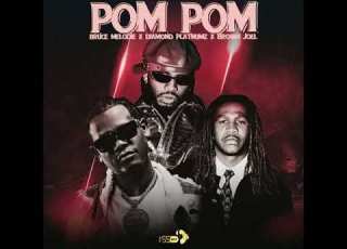 Bruce Melodie X Diamond Platnumz X Brown Joel Pom Pom Official Video Visualizer