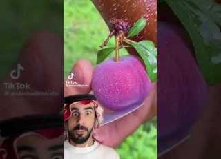  ميمز بدر ال صفر 16