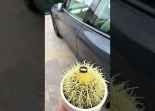 You Can Open The Car In This Way Tesla Automobile