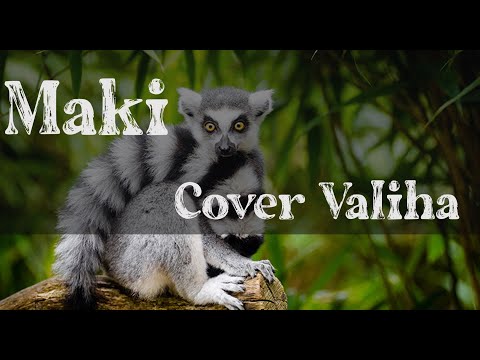 Maki Rossy Cover Valiha By Rado Fentsu