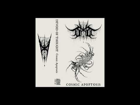 Devoid Of Thought Stargrave